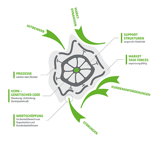 fokus7-business7-infografik-zellmodell